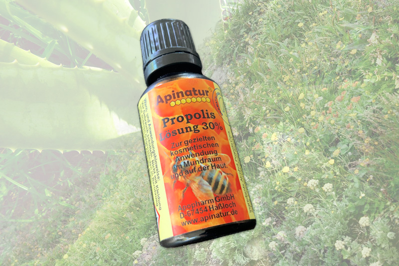 apinatur-propolis-800-533.66bb5e9367e40.jpeg